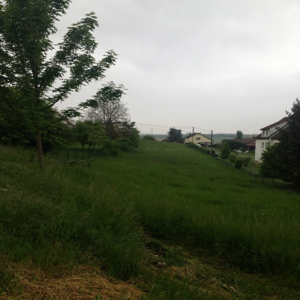 Offres de vente Terrain Wasselonne 67310